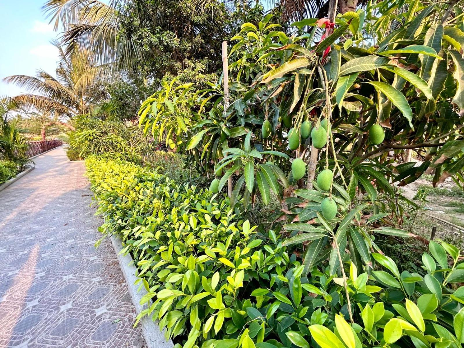 Palli Bangla Resort, Near Ruby Hospital, Anandapur Kalkutta Exterior foto